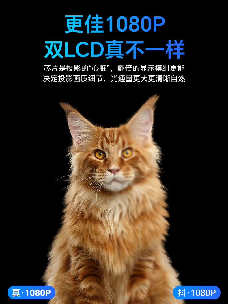 详情页_10.jpg